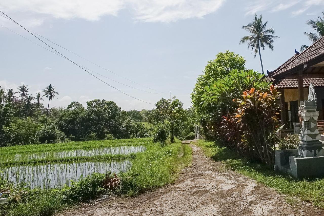 Mejan Home Stay Balian Exterior foto